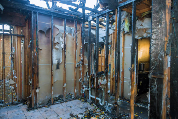 Professional Soot Removal technician working in Dayton, MD